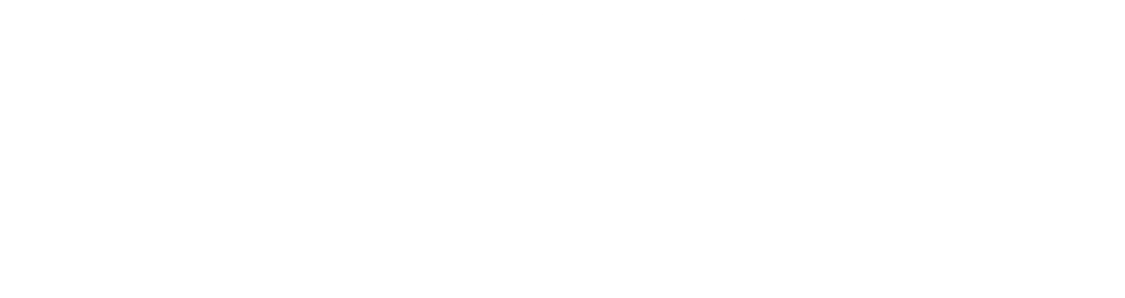 VALORA DATA